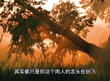 如何真正活在当下#焦虑#抑郁