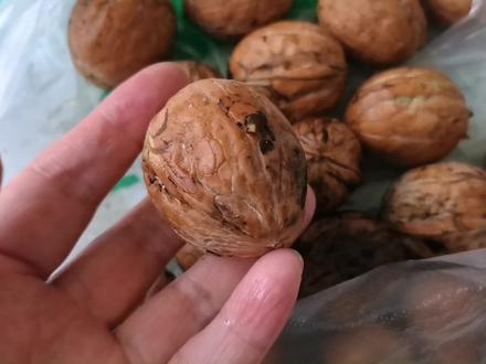 用新鲜核桃仁做的豆腐,不加石膏不用卤水,好吃的不得了!