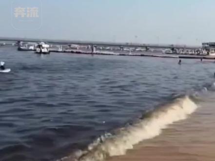 近日,多位游客反映称,辽宁营口一海域海水变成黑色,引发关注。当地有关部门回应:近期,山海广场附近海域名为浒苔的藻类植物正爆发,大量藻类生长后腐烂到水里,海水颜色就产生了变化,属于季节性现象。为此相关部门一直在监测打捞,但无法根治,目前正在研究行之有效的解决办法。
(来源:上游新闻)