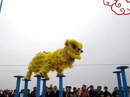 #醒狮 #湛江文车醒狮团,文车醒狮集武术、舞蹈、杂技于一身,动作刚猛,威风凛凛。#醒狮人 #春节我在岗