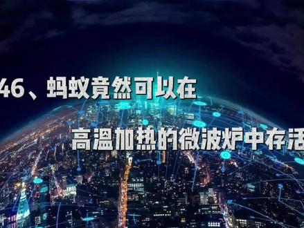 蚂蚁竟然可以在高温加热的微波炉中存活!#科普一下