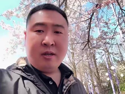 韩国春暖花开,带宝宝去首尔大公园,每个人90块钱通票玩翻天 #樱花季 #vlog日常 #带娃出游 #韩国打工生活小胖