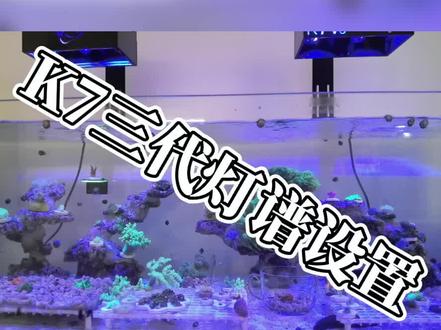 到了两台K7三代设置了一天这东西…🤯给你们看看我的灯谱,lps你们有合适的灯谱么推荐我几个自用的!#海缸 #珊瑚缸 #珊瑚灯 #珊瑚灯怎么调