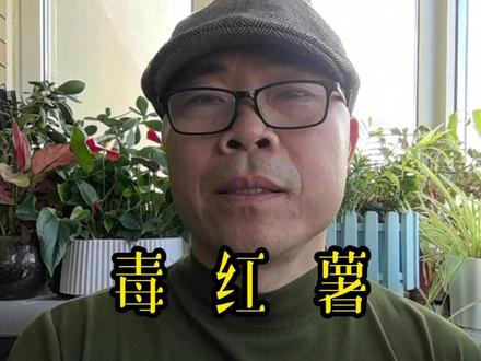 毒红薯 云南“毒红薯”后续:10亿产业崩盘,无辜农户欲哭无泪,谁来为信任买单?#毒红薯 #农药 #建水红薯