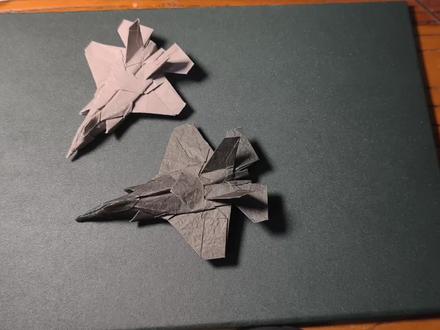 F35教程(准备阶段)
#折纸 #三角洲行动 #飞机#F35