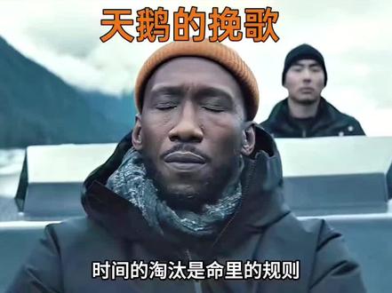 真正的责任和!永恒的爱情!
天鹅的挽歌!