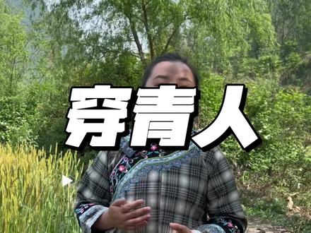 他们既不是汉族,也不是少数民族#穿青人