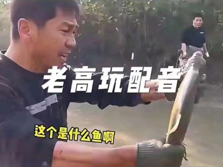 别问,问就是多余,哈哈#看完不笑算我输 #搞笑视频配音#动物成精