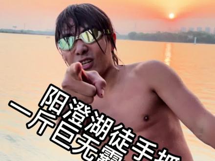 从小爱好徒手下水捉大闸蟹,今天捕捉到一只一斤重阳澄湖大闸蟹,不需任何工具辅助,就是这么牛🐂 #阳澄湖大闸蟹 #大闸蟹 #螃蟹