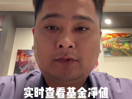 提前查看基金实时净值!#基金 #实时更新