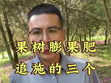 果树膨果肥追施的三个关键时间节点! #果树管理 #膨果 #果树种植 #农业种植 #三农