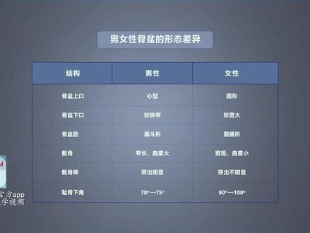 【人体解剖学】-骨盆(4)男孩和女孩的骨盆有什么不一样?#骨骼 #人体解剖学#医学科普#医学生 #学医#医学 #医学生日常 @DOU+小助手
