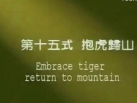 #赵幼斌《杨氏太极拳85式》第二段分解教学#第十五式抱虎归山#第十六式肘底看捶#居家锻炼 #太极拳教学 #强身健体增强免疫力