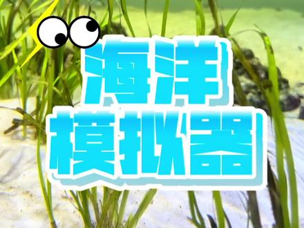 以上帝的视角创造一个小型的海洋世界~#海洋世界