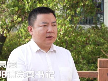 【重实效 强实干 抓落实】今年怎么干,富阳镇:创新“党建+”模式 推动高质量发展