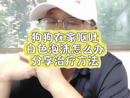 狗狗在家呕吐白色泡沫怎么办#养狗经验分享 #短视频知识分享 #经验分享 #知识分享 #普及知识