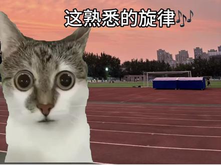 中长跑进行曲 #猫meme #起风了 #音乐 #青春