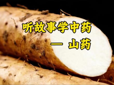 为什么老人常说山药最养人?#听故事学中药 #中药科普 #养生 #山药