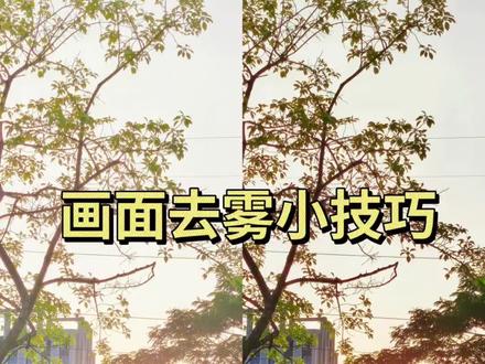 这个给照片快速去雾的小技巧也太实用了#20秒get邪修P图去雾技巧 #邪修P图 #醒图创作者 #修图前vs修图后 #照片去雾 照片雾蒙蒙的怎么调色 照片雾蒙蒙修图教程 照片去雾技巧 照片去雾教程 画面灰蒙蒙调色教程 画面灰蒙蒙调色小技巧 照片快速调色技巧