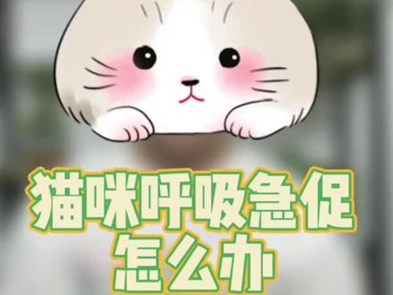 铲屎官必须知道的猫咪冷知识#科学养宠攻略 #宠物知识 #养猫知识分享 @萌抖抖宠物用品