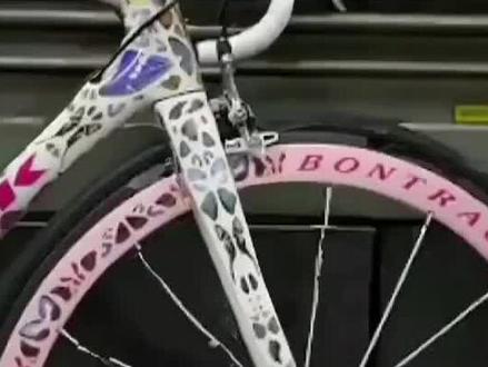 崔克蝴蝶自行车为什么这么贵?