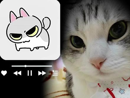 激情创作:《得劲小猫歌》! 给粉丝宝宝的小福梨~宝宝们的猫咪上镜啦(*≧ω≦)#配音 #搞笑 #可爱 #猫咪 @DOU+小助手 @抖音小助手