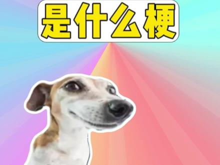 我的狗被车撞了是什么梗? #梗 #我的狗被车撞了 #meme #抽象