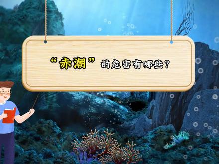 赤潮的危害有哪些 #赤潮 #危害 #海藻 #青岛水族馆 #我在抖音涨知识