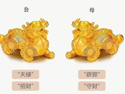 貔貅也分公母,快看看你戴的是什么?#貔貅 #知识分享 #科普 #小七寻宝