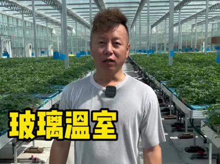 玻璃温室造价多少,一平方温室多少钱?智能温室这个造价后期盈利在哪儿!这些问题慢慢都会给大家解答!#温室大棚安装设计 #玻璃温室 #智能温室 #玻璃温室厂家 #智能温室建设