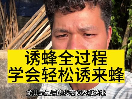 诱蜂全过程手把手教给你! #诱蜂#养蜂#蜜蜂#诱蜂蜡