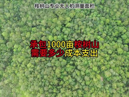 承包1000亩的桉树山需要多少的成本支出?能有多少的利润? #桉树测量 #无人机测量 #木材加工 #林地测量
