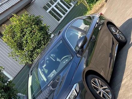 暗金蓝还是鎏光灰?傻傻分不清#思域 @抖音小助手