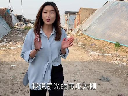 我说寿光大棚黄瓜年亩产6万斤,你信吗?不信来算算!#农业