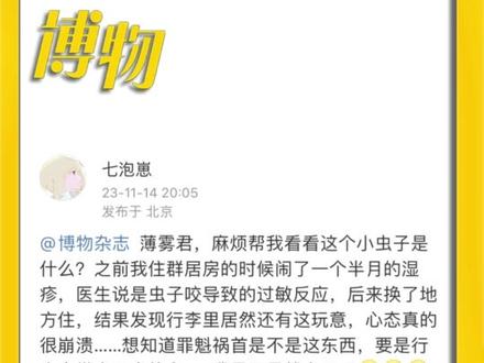 被子里发现的小虫子,起湿疹是不是因为它? #博物君的微科普 #臭虫 #床上虫子 #床虱 #床虱危机 @抖音青少年