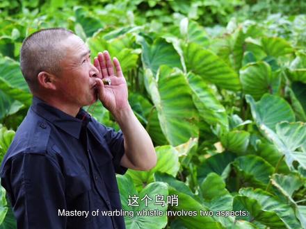鸟哨——声似人鸟对话,以召引野鸟!这门模仿鸟叫的绝技厉害了~(供稿:市群艺馆)#上海非遗