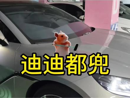 迪迪都兜已经被我设成锁车音效了!#迪迪都兜 #比亚迪智驾兜底