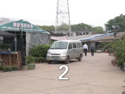 十三岁女孩被墙皮砸伤,责任该由谁来担 #高空抛物 #物业纠纷 #江西dou知道