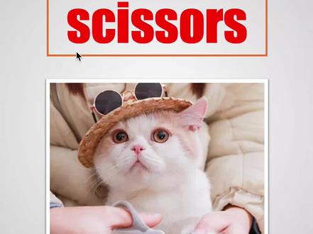 秒记单词:scissors #英语 #英语单词 #高考