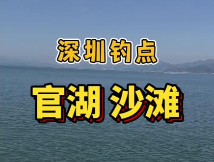 深圳官湖沙滩钓点有泥猛抽鱿鱼#海钓 #官湖沙滩 #深圳钓鱼 #深圳海钓 #官湖 @壁虎哥海钓