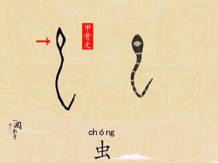 《汉字与诗画》之“虫”的字形演变。#传统文化 #亲子教育 #小学语文 #语文 #写字 #国学 #汉字 #认字识