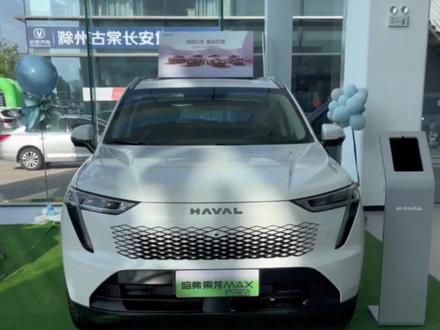 枭龙max和二狗(phev)怎么选?#哈弗枭龙max #哈弗大狗
