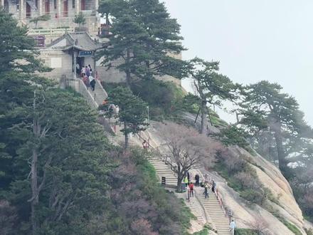全程7小时爬完华山5峰,北上西下#自古华山一条道 #华山西峰索道 #华山风景名胜区5a #华山攻略北上西下 #又菜又爱玩系列