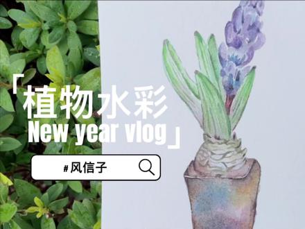 植物水彩|风信子呀|2022新年Vlog 新气象 #水彩花卉 #手绘 #水彩过程 #水彩画 #绘画过程 #想画就画 #绘画成长记录 #花 #风信子