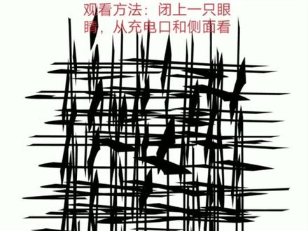 闭上一只眼睛,从手机充电口往上看。
