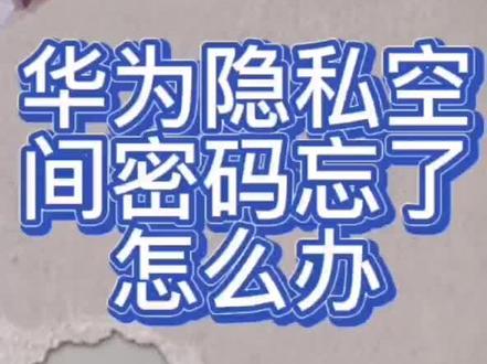 华为隐私空间密码忘记了怎么办#华为 #手机 #手机使用技巧