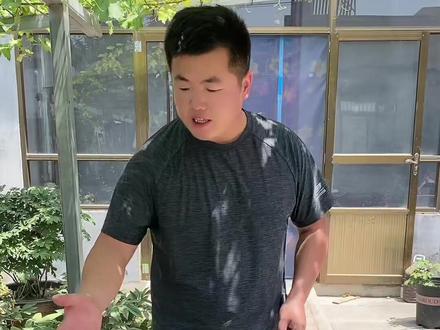 牡丹最难熬的是夏季#牡丹种植 #盆栽牡丹 #牡丹养护