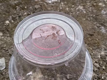 福寿螺有寄生虫?放进高锰酸钾浸泡半小时,结果泡岀上100条线虫