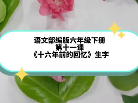小学语文部编版六年级下册第十一课《十六年前的回忆》生字 #快乐学习快乐成长 #趣味识字 #高效能识字