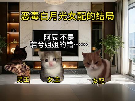 《桃子穿书》第一集 #猫meme #猫meme剧场 #猫meme故事 #小说